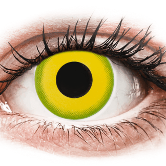 CRAZY LENS - Forest Children - jednodniowe zerówki (2 лінзи)