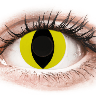 CRAZY LENS - Cat Eye Yellow - jednodniowe zerówki (2 лінзи)