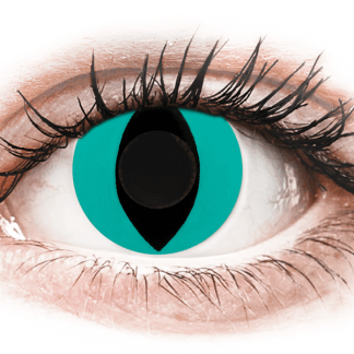 CRAZY LENS - Cat Eye Aqua - jednodniowe zerówki (2 лінзи)