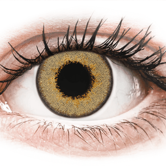 TopVue Daily Color - Brown - jednodniowe zerówki (2 лінзи)